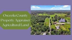 Osceola County Property Appraiser