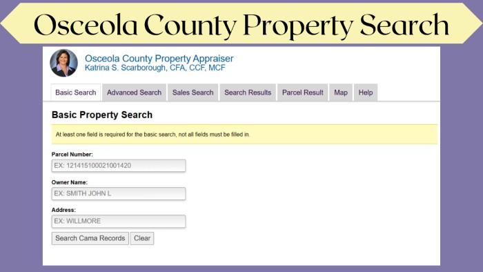 Osceola-County-Property-Search